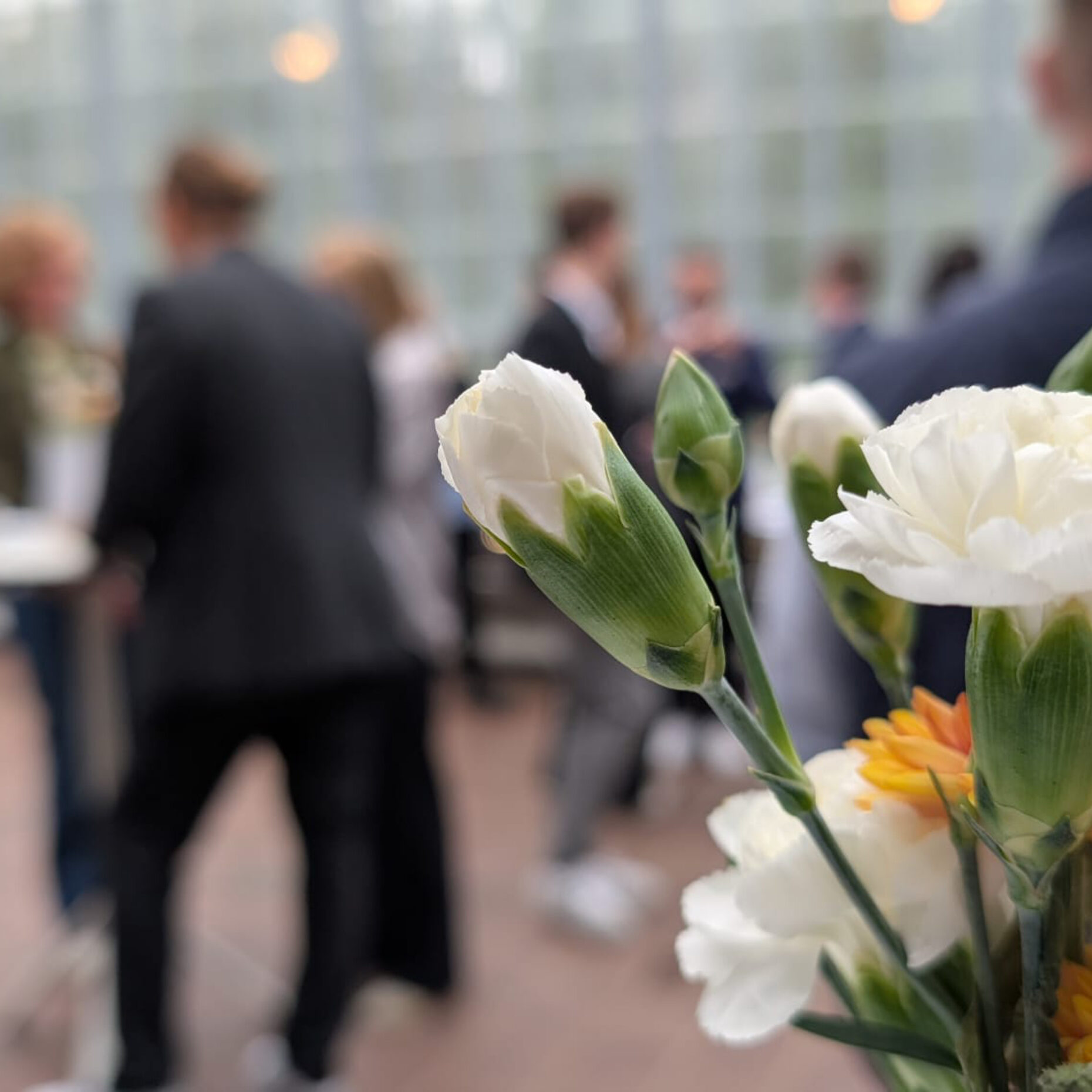 ANTHOLZER Nachhaltigkeitsevent für Arbeitsbekleidung und Teambekleidung, Kreislaufwirtschaft und Textilrecycling